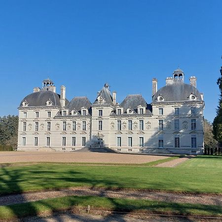 Trainefeuilles - Chambres D'Hotes Proche Zoo De Beauval Le Controis-en-Sologne Dış mekan fotoğraf