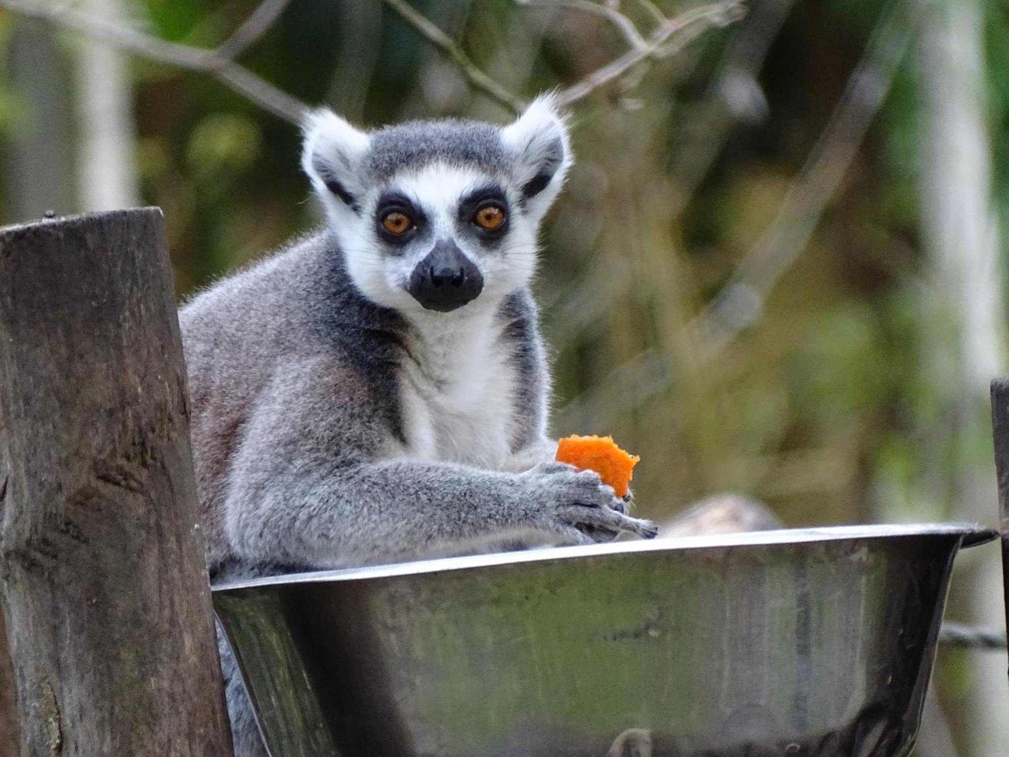 Trainefeuilles - Chambres D'Hotes Proche Zoo De Beauval Le Controis-en-Sologne Dış mekan fotoğraf
