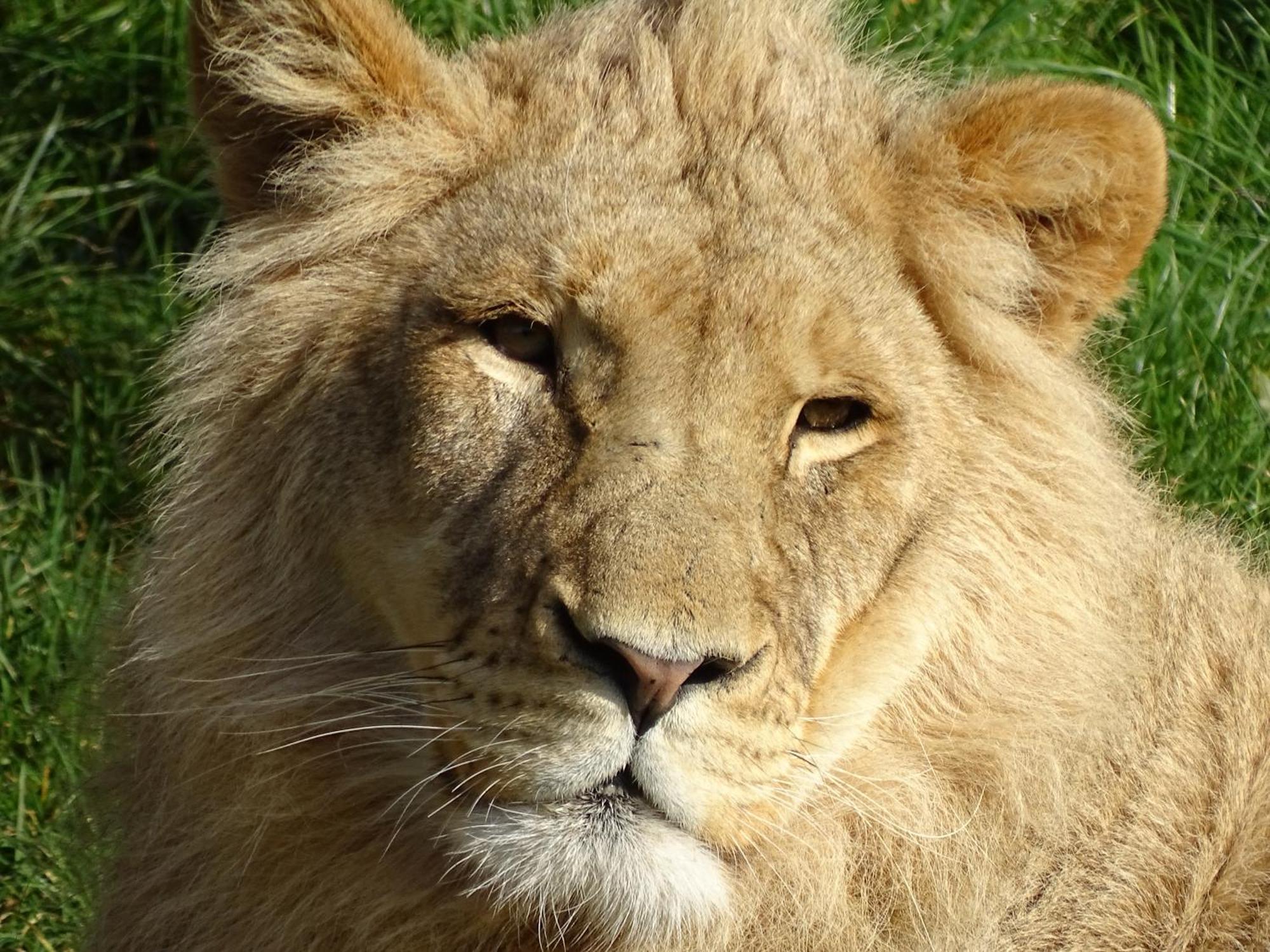 Trainefeuilles - Chambres D'Hotes Proche Zoo De Beauval Le Controis-en-Sologne Dış mekan fotoğraf